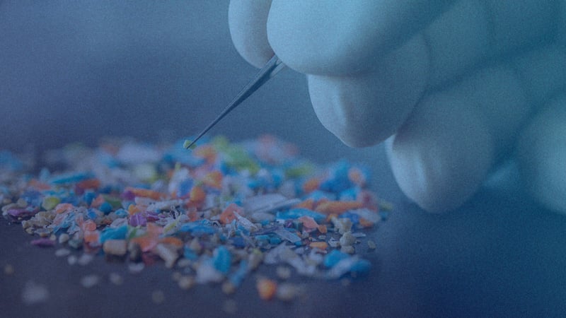 Consumers Are Reconsidering Plastic—Here’s the Proof